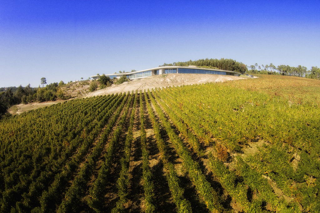 Vignobles du Dão - Tourisme Portugal