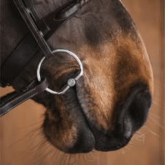 Fager Fixed Rings | Malvern Saddlery