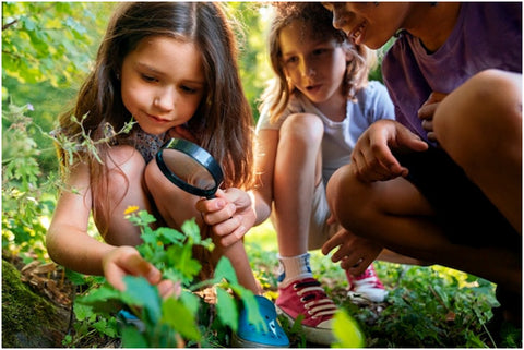 Gardening with Kids: Teaching Responsibility and Connecting with Nature