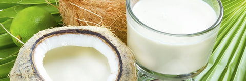 Ce Baume au Coco Logona lisse et nourrit les cheveux secs. Ce soin est idéal pour réparer les pointes desséchées. huile de coco et de vitamine E pour le soin des peaux et des cheveux. soin de jour et masque, nourrissant, hydratation, soin capillaire, chevelure, boutique, cosmétique, secs, abîmés, fourches, réparateur