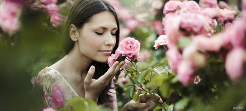 Eau Florale de Rose Bio, pure, hydrolat, lavande, peaux délicates, réactives, sensible, rougeurs, illumine le teint, Nettoie et purifie la peau en profondeur, Hydratante, Puissant anti-oxydant, anti rides, rose de damas, pétale, visage, henne, algérie, rouge cerise, cheveux, soin capillaire, naturel, violine, aubergine