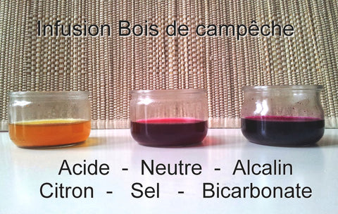  Campêche Phitofilos  "bois de Campêche", legno di campeggio, poudre rouge foncée, legno di campeggio, Colore les cheveux du rouge grenat au violine, pourpre, teintes violines, violet, rose, bordeaux, rouge, boutique, plante, henné, coloration, cheveux, soin capillaire, hemani, bio, biologique, vegan, naturelle, plante