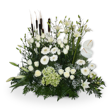 Arreglo Floral condolendias Rosas, Anturios y Gerberas | ADMIRACION –  Laurel Floristería