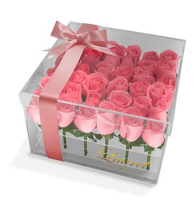 36 Rosas en caja de acrílico I FRIDA – Laurel Floristería