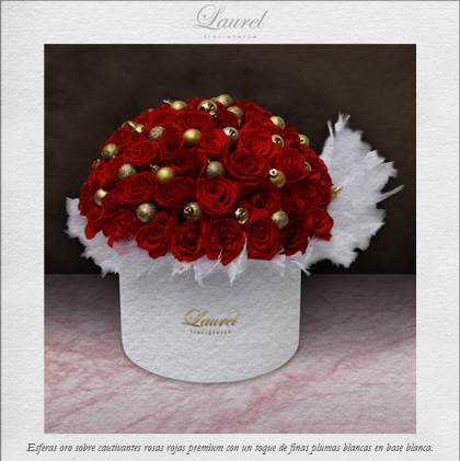caja de rosas con plumas | NOCHE DE PAZ – Laurel Floristería