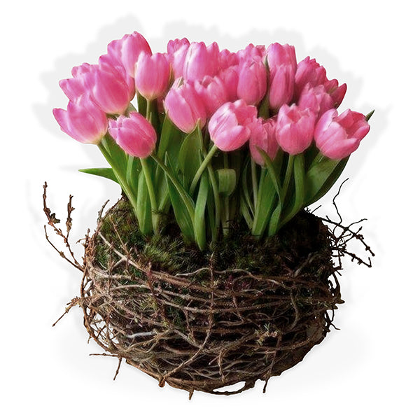 Frescos tulipanes naturales | NEST – Laurel Floristería