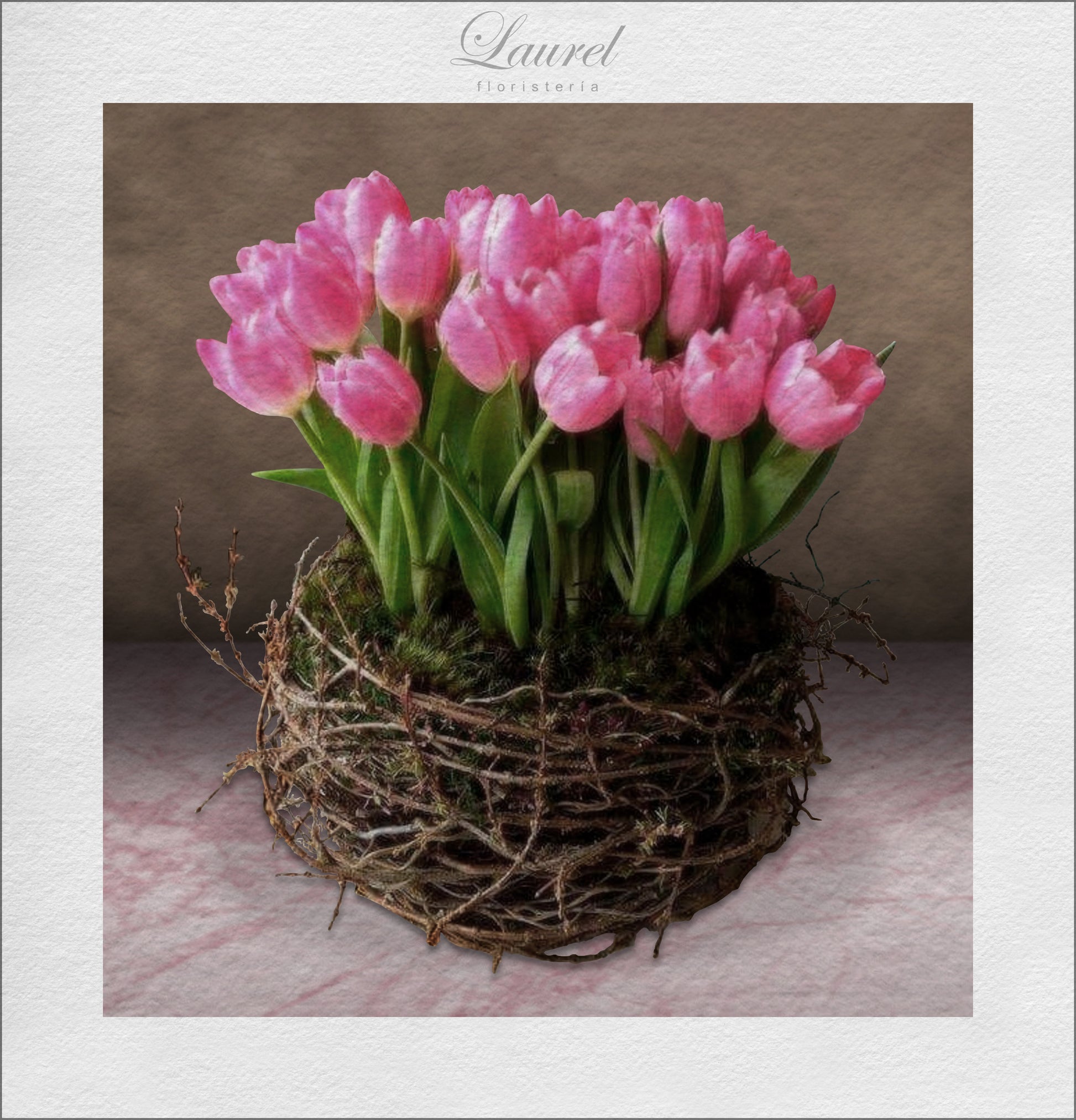 Frescos tulipanes naturales | NEST – Laurel Floristería