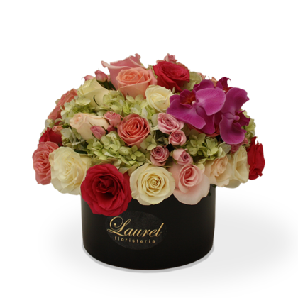 Arreglo Floral Orquideas y Rosas | LIFE – Laurel Floristería