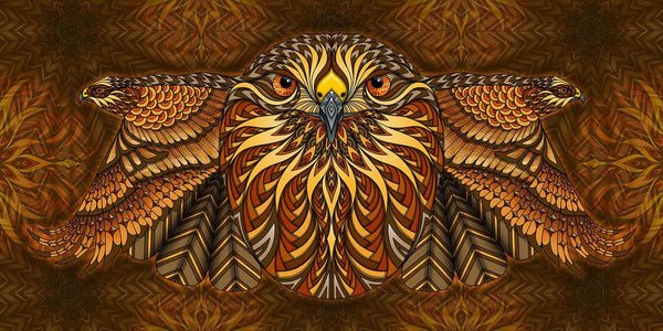 Red Tailed Hawk – Phil Lewis Art