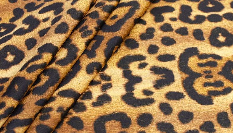 Symbolism: Why Leopard Popular