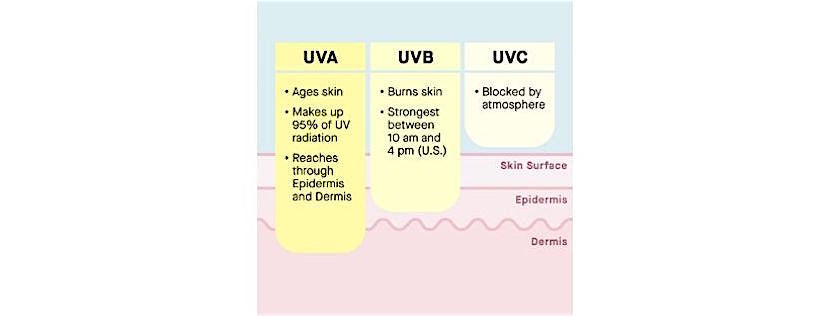 Chart explaining the difference between UVA, UVB, and UVC rays