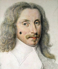 Portrait of a Young Man with a Beauty Spot on his Cheek by Daniel Dumoustier