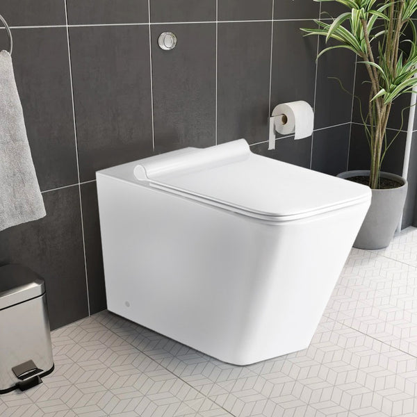 Back to Wall Rimless Toilet - Tapron