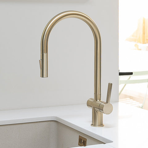gold pull out spray kitchen taps