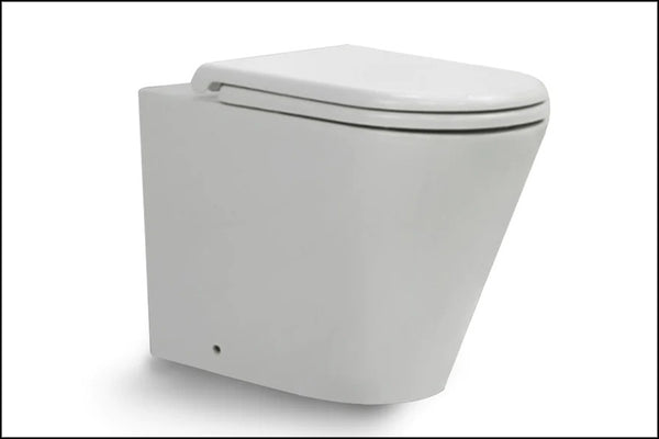 Rimless Back To Wall Toilet Pan