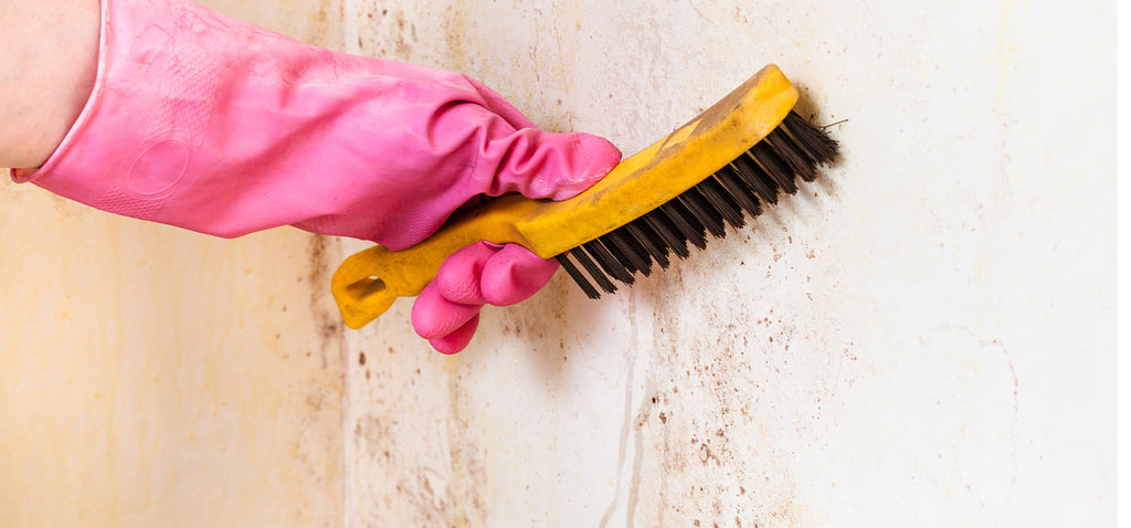 how to remove bathroom mould