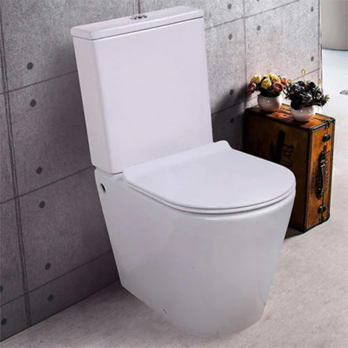 traditional style bathroom toilet