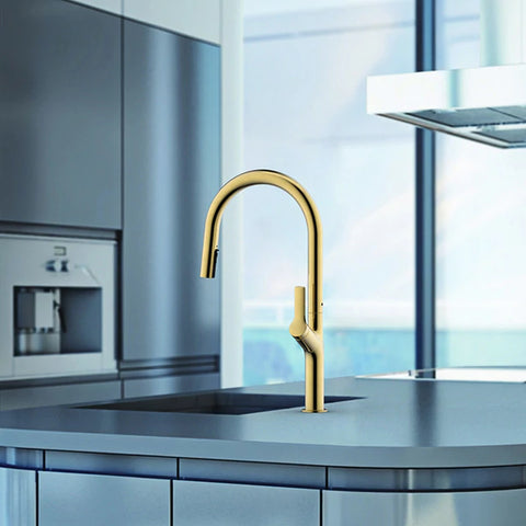 Gold Pull Out Kitchen Tap