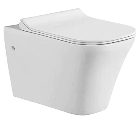 wall hung toilet with rimless technology tapron