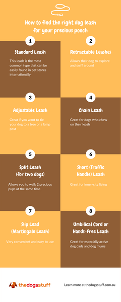 infographic explaining how to find the perfect dog leash 