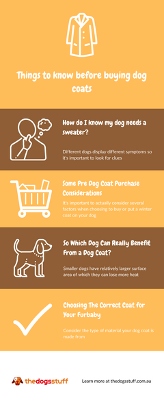 infographic explaining things that you should know before buying a dog coat