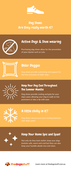 infographic explaining how to find the perfect dog shoe 