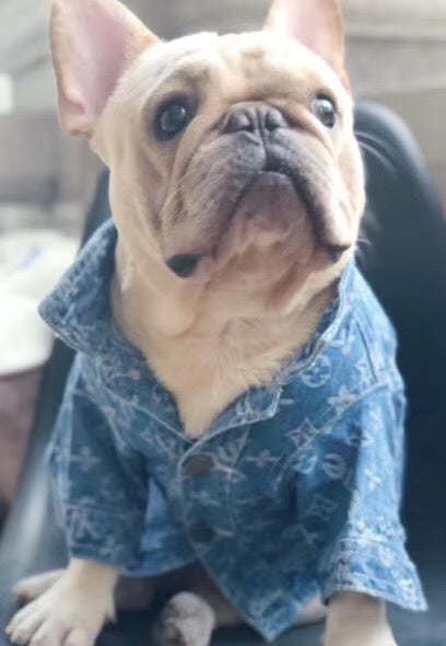 LV Denim Dog Jacket | Supreme Paw Supply