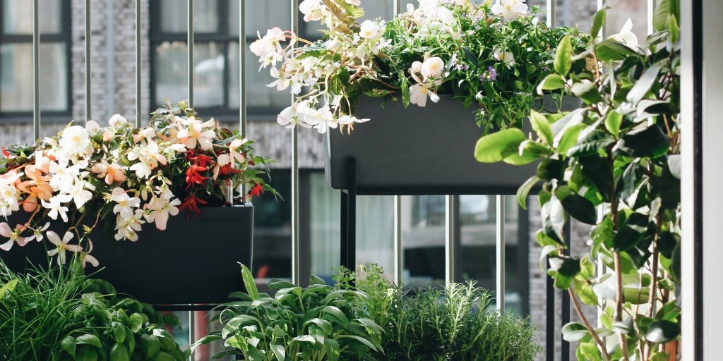 boog Veel meteoor Beste plantenbak voor je balkon kiezen? Houd hier rekening mee! – Upperbloom