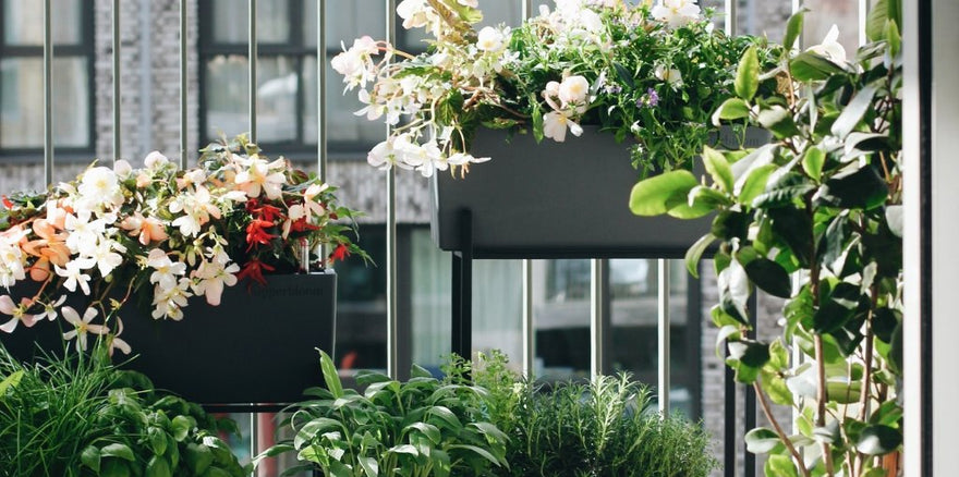Beste plantenbak voor je balkon kiezen? Houd rekening mee! Upperbloom