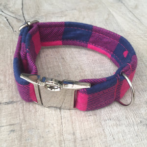 metal buckle collar