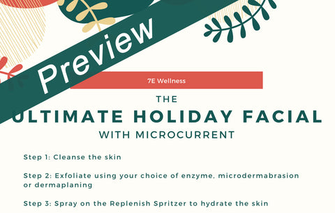 preview of ultimate holiday facial printable protocol