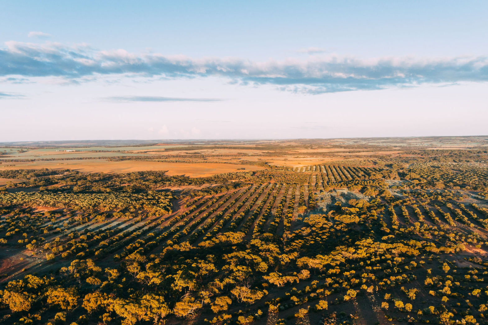 Landscape of Western Australia