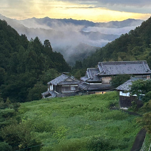 hills of wakayama