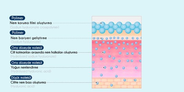 ISNTREE - Hyaluronic Acid Water Sleeping Mask ( Yoğun Nemlendirici ve Yenileyici Uyku Maskesi )  Kore Kozmetik ve Cilt Bakım Ürünleri Türkiye K-Beauty  - Isntree Cilt Bakım Ürünleri Türkiye Satış