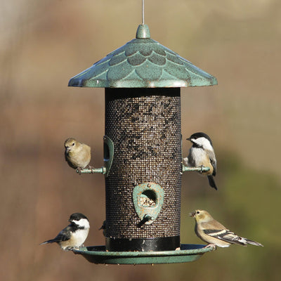 Acorn Screen Metal Bird Feeder