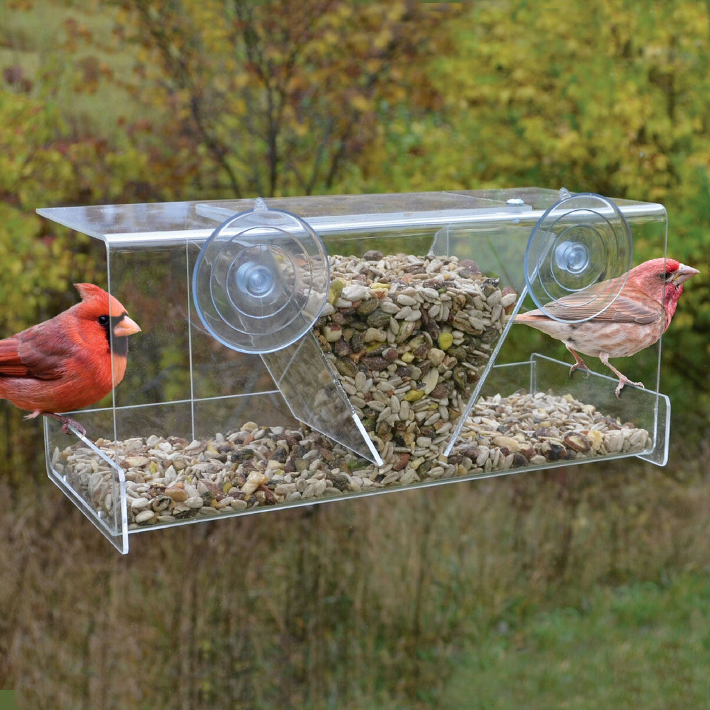 window cardinal feeder