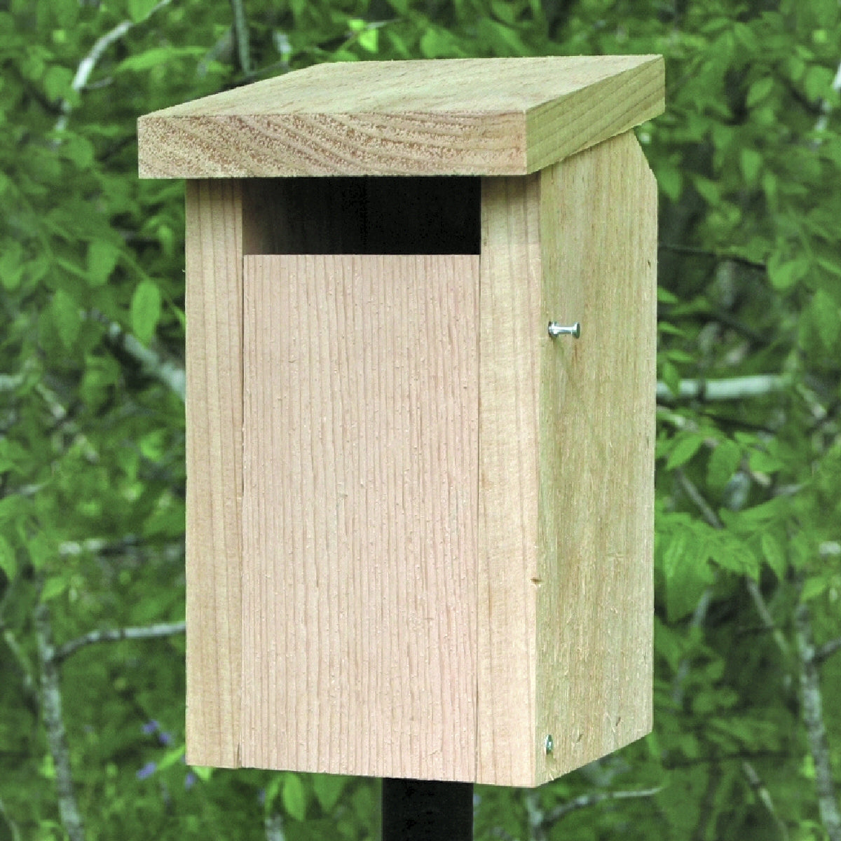 wood-bluebird-house-at-birdhousesuply