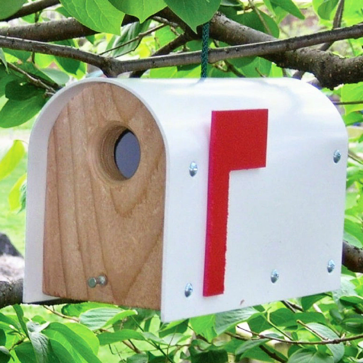 Classic White Mailbox Birdhouse Momma's Home Store