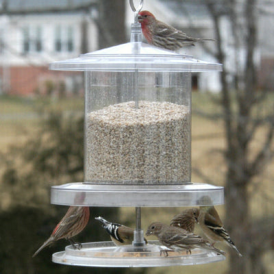 Clingers Only Bird Feeder Yellow Momma S Home Store