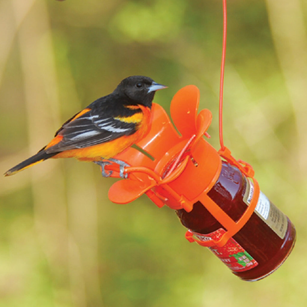bird feeder orange