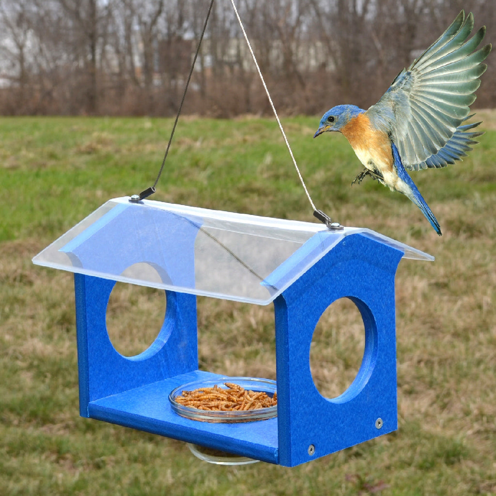 bluebird feeder hole size