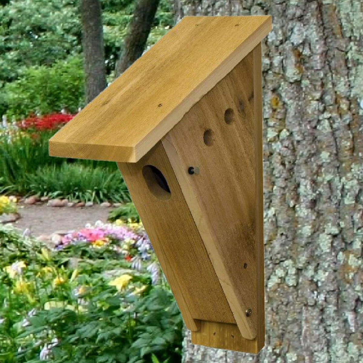 peterson-cedar-bluebird-house-momma-s-home-store