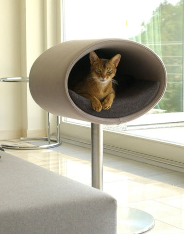 tall cat bed