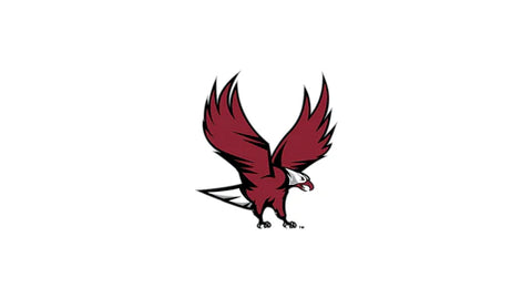 NCCU Eddie Mascot