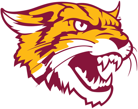 bethune cookman mascot