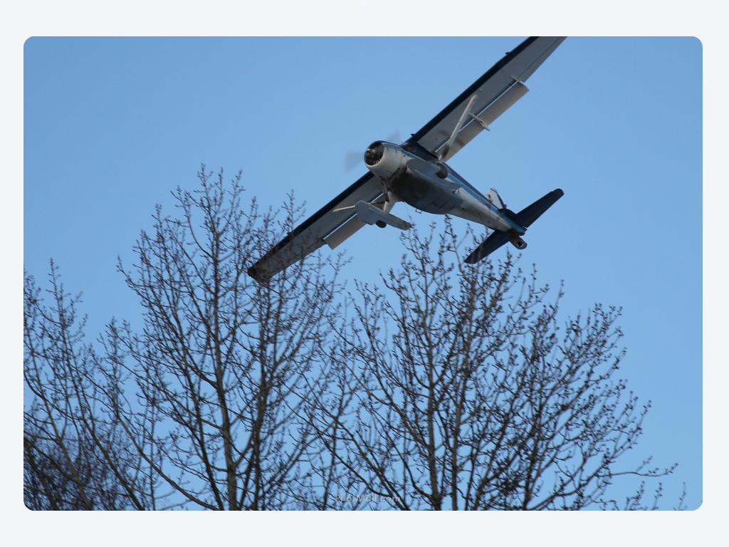 Un avión monomotor volando bajo cerca de la línea de árboles - Pilot Mall