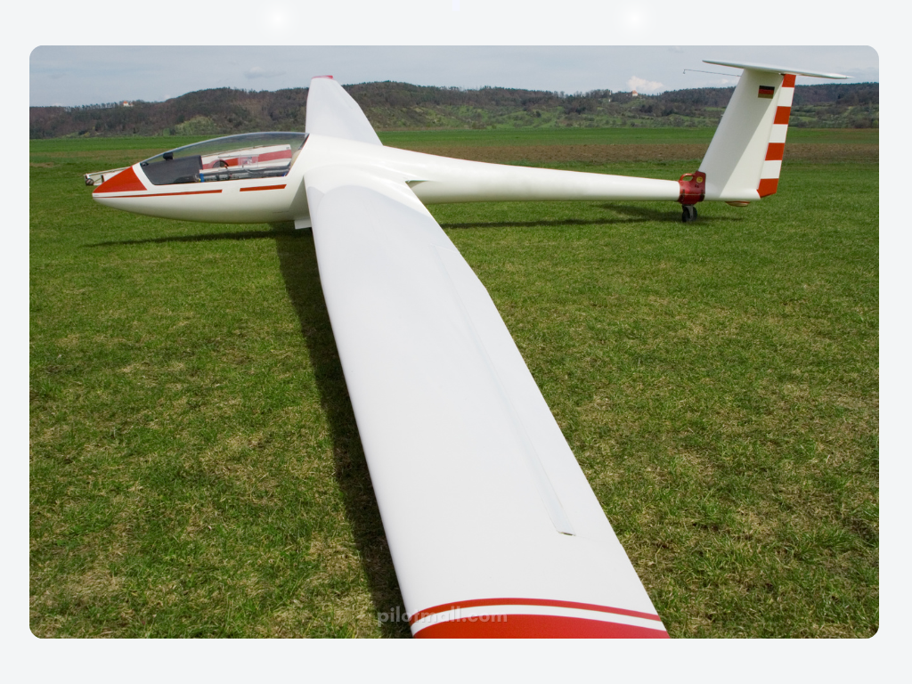 Un planeador de alas largas en un campo de hierba - Pilot Mall