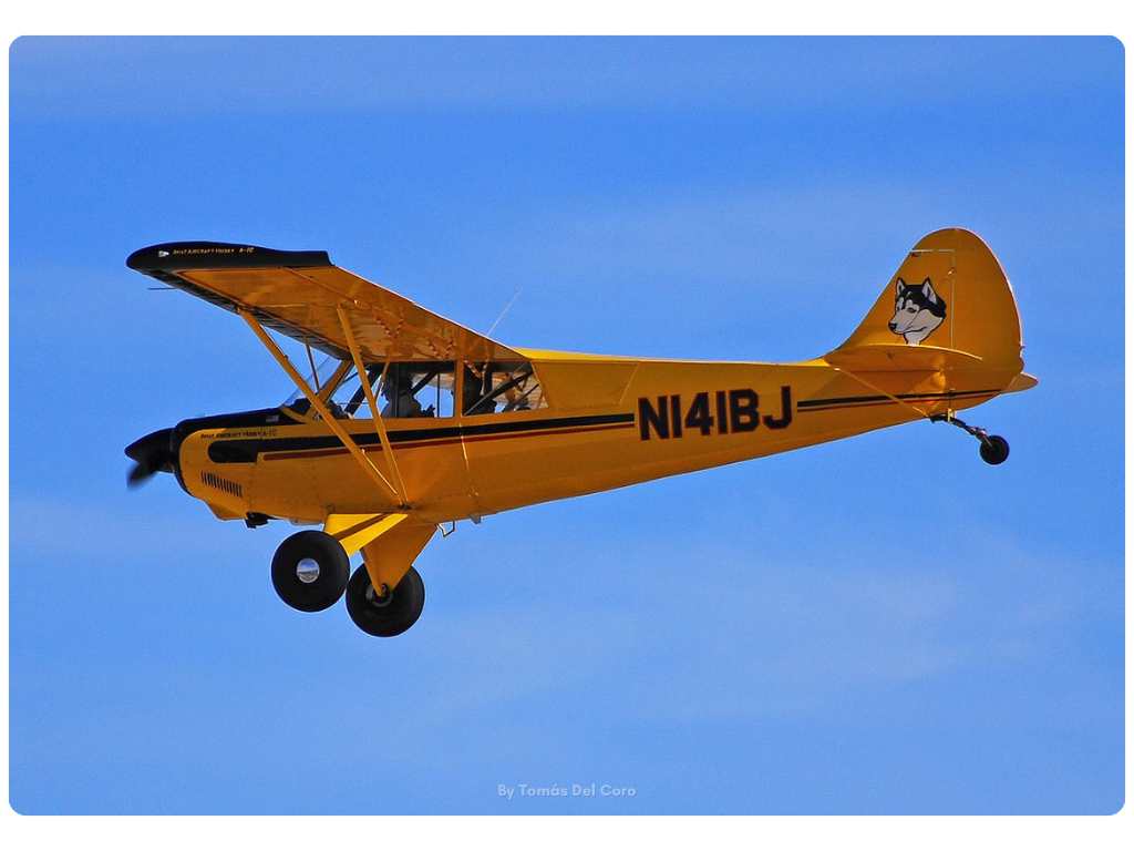 Aviat A-1C Husky By Tomás Del Coro