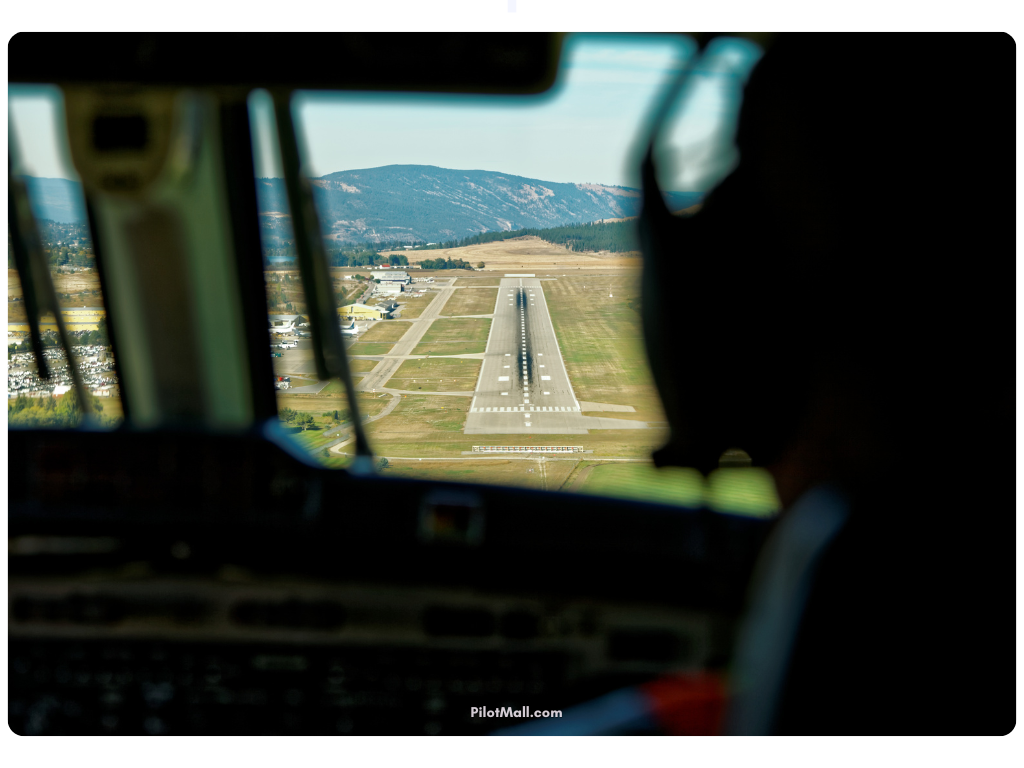 Cockpit view of a landing - Pilot Mall