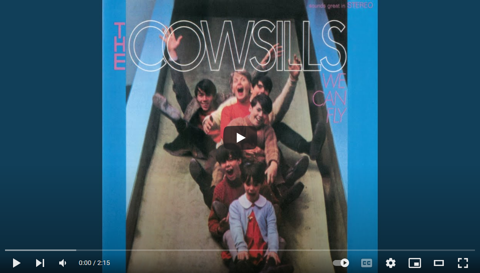 “We Can Fly” by The Cowsills